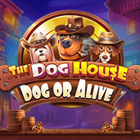 The Dog House - Dog Or Alive